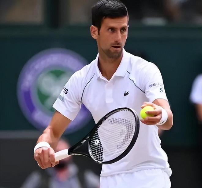 结语部分无 结语部分无